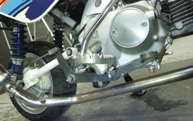 HONDA MONKEY BAJA 2024 Z50J