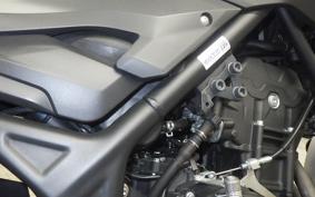 YAMAHA MT-25 RG43J