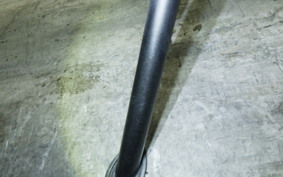 KAWASAKI NINJA 400 2024 EX400L