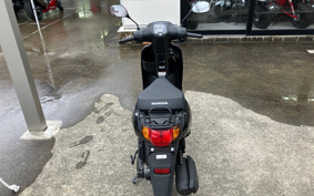 HONDA  TACT  BASIC  AF79