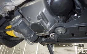 DUCATI DIAVEL Titan 2015