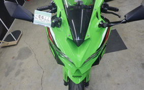KAWASAKI ZX-25R 2007 ZX250E