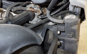 HONDA DIO Gen.5 AF56