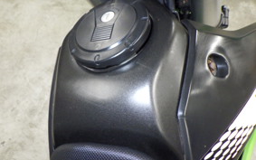 KAWASAKI KLX250 Gen.2 LX250S