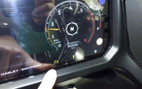 HARLEY FLTRX1920 2024