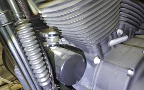 HARLEY XL883N 2019