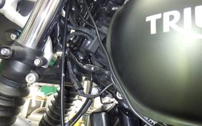 TRIUMPH STREET SCRAMBLER 2023