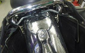 KAWASAKI W800 2016 EJ800A