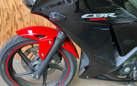 HONDA  REBEL 250 ABS MC49