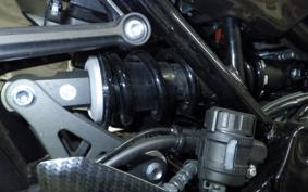 KAWASAKI Z900RS 2024 ZR900K