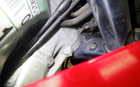 HONDA VTR1000F 1999