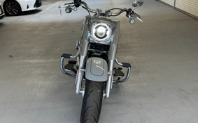 HARLEY  HARLEY FLFBS 2024 YGK