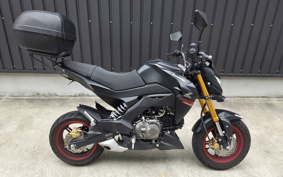 KAWASAKI Z125 PRO BR125H