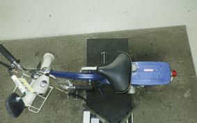 HONDA LITTLE 2019 P25