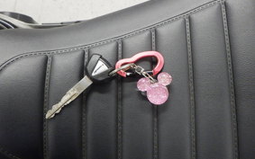 KAWASAKI Z900RS 2020 ZR900C