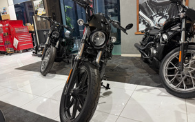 HARLEY RH975 NIGHT STAR 2022 ZH1
