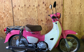 HONDA SUPER CUB110 JA44