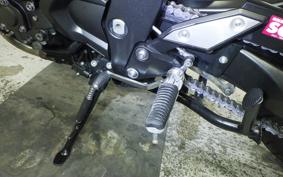 YAMAHA FZ1 FAZER 2013 RN21J