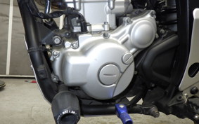YAMAHA WR250X DG15J