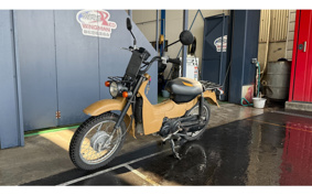 SUZUKI BIRDIE50 BA43A