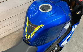 SUZUKI GSX-R1000R ABS 2019 DM11G