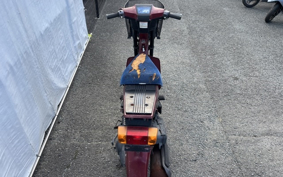 SUZUKI MOLLET