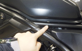 HONDA REBEL 250 A 2024 MC49