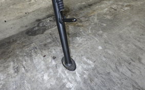 KAWASAKI Z900RS 2023 ZR900K