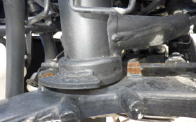 KAWASAKI NINJA 250 EX250L