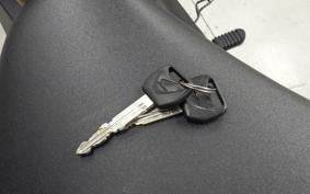 HONDA REBEL 250 MC49