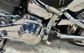 HARLEY FLSTFI 2025 BD9