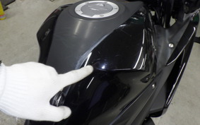 YAMAHA YZF-R25 2022 RG43J