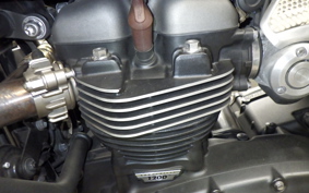 TRIUMPH SPEED TWIN 2019