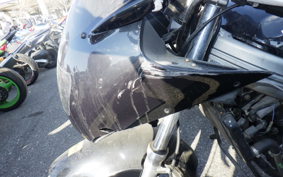 KAWASAKI ZZ-R250 EX250H