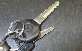 YAMAHA YZF-R25 1992 RG10J