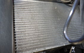 KAWASAKI NINJA 250R EX250K