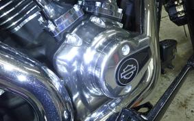 HARLEY FXBB1920 2025