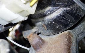 SUZUKI GOOSE 250 NJ46A