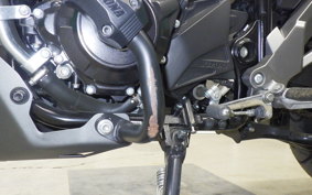 SUZUKI Vｽﾄﾛｰﾑ250A 2011