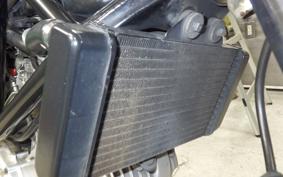HONDA VTR 250 2024 MC33