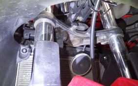 KAWASAKI NINJA 250R 2009 EX250K