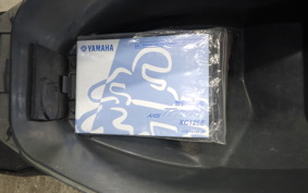 YAMAHA AXIS 125 TREET 2002 SE53J