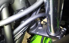 KAWASAKI NINJA 650 A 2025 ER650S