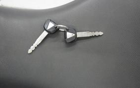 KAWASAKI NINJA 250 2021 EX250P