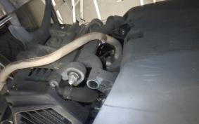 HONDA TACT Basket 2025 AF79