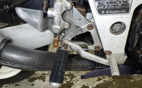 KAWASAKI ZXR250 2021 ZX250A