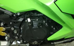 KAWASAKI NINJA 250 2 2022 EX250P