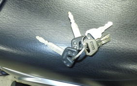 YAMAHA BRONCO 2020 5BT