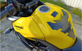 KAWASAKI VERSYS 650 2017 LE650E