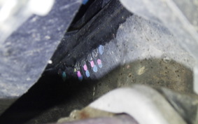 KAWASAKI Z250 Gen.2 2025 EX250Y